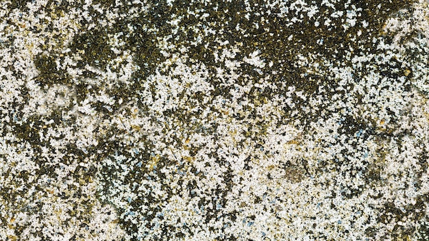 Mossy cement wall texture background