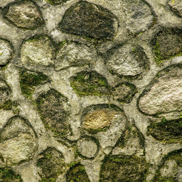 Photo mossy stone wall background paper