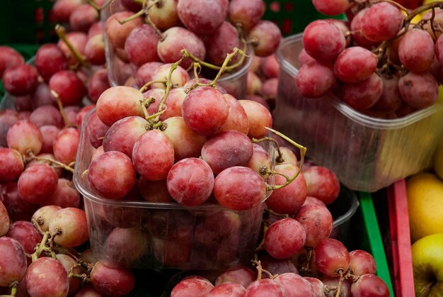 The most beautiful grapes on the market