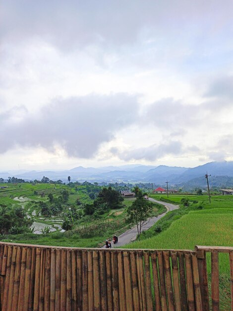 Photo the most beautiful village in the world with beautiful views of green rice fields is immortalized