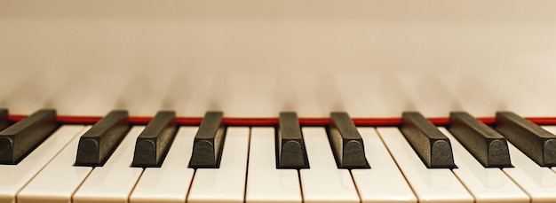 The most melodious musical instrument close up view of black and white piano keys music