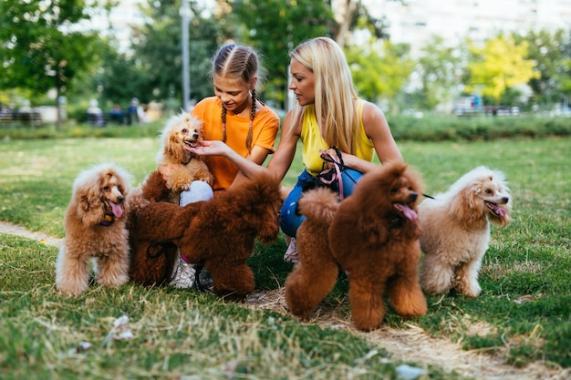 Mother and daughter enjoying together with their poodles in park.