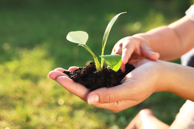 Mother holding tree seedling while child touching soil closeup