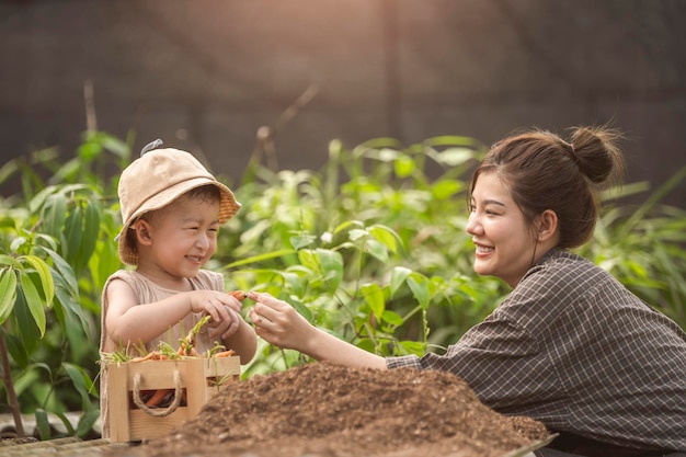 Mother and son child planting vegetable in home garden