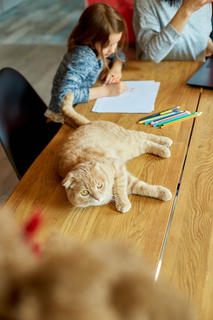 Mother working in her home office on a laptop, her daughter sits next to her and draw, Scottish cat sitting on the table too. Woman freelance, remote work and raising a child at workplace.