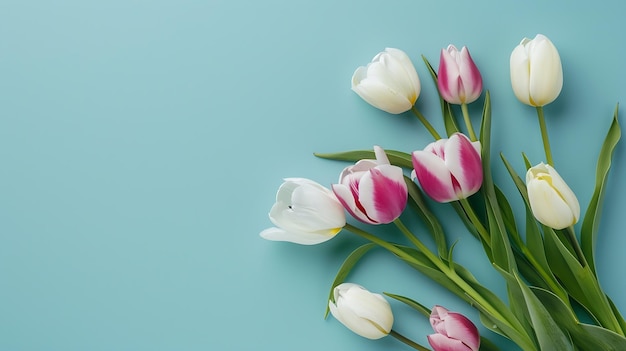 Mothers Day concept Top view photo of bouquet of white and pink tulips on isolated p Generative AI