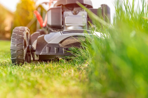 Motor mower to mow the lawn next to the family house