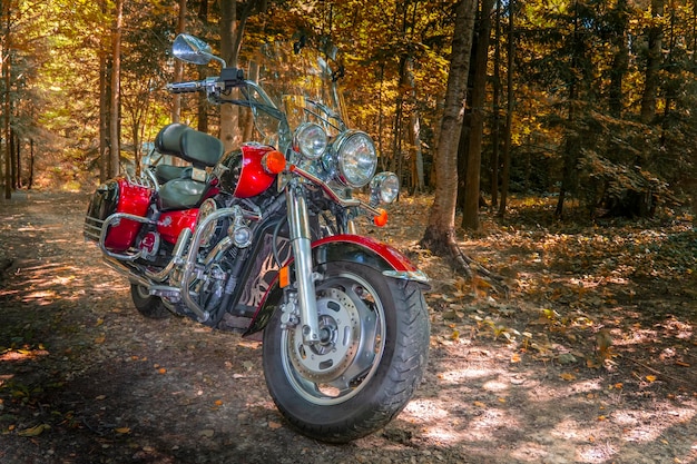 Motorcycle high power cruiser in forest way autumn forest path sunny park