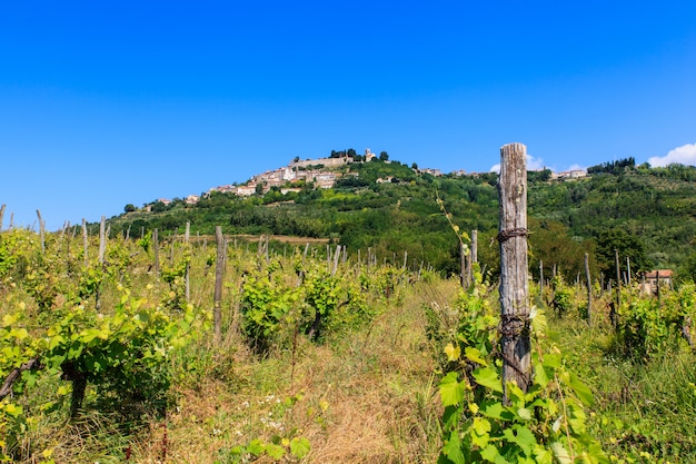 Motovun, Istria. Croatia