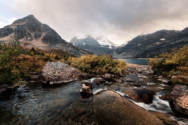 Mount Assiniboine with water flowing in golden wilderness at provincial park