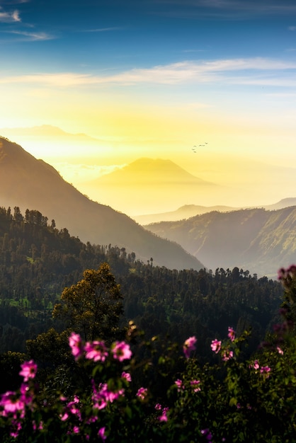 Mount. Bromo at Bromo tengger semeru national park