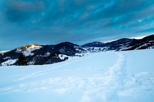 Mount Forest Beautiful winter panorama Carpathian mountains