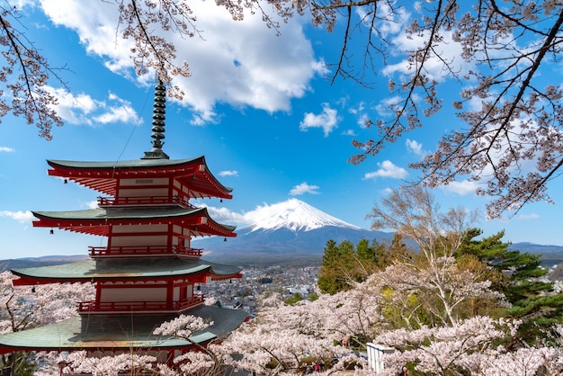 Mount Fuji Chureito Pagoda cherry blossoms in full bloom springtime Arakurayama Sengen Park