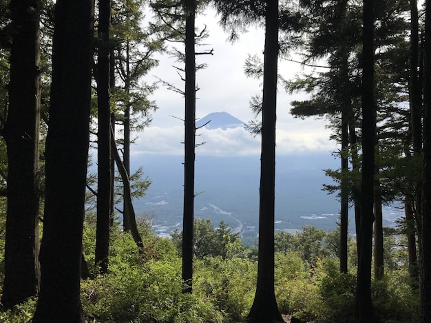 Mount Fuji - Japan