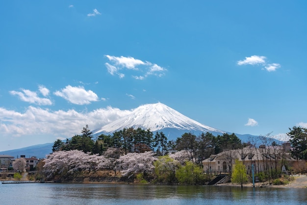 Mount Fuji Mt Fuji over blue sky on a sunny day Lake Kawaguchiko Town Fujikawaguchiko Yamanashi Pref