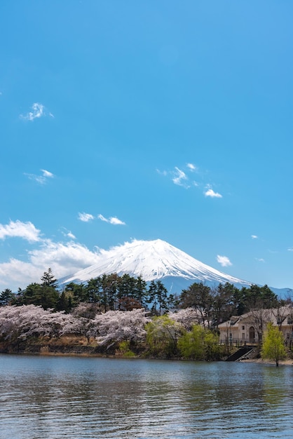 Mount Fuji Mt Fuji over blue sky on a sunny day Lake Kawaguchiko Town Fujikawaguchiko Yamanashi Pref