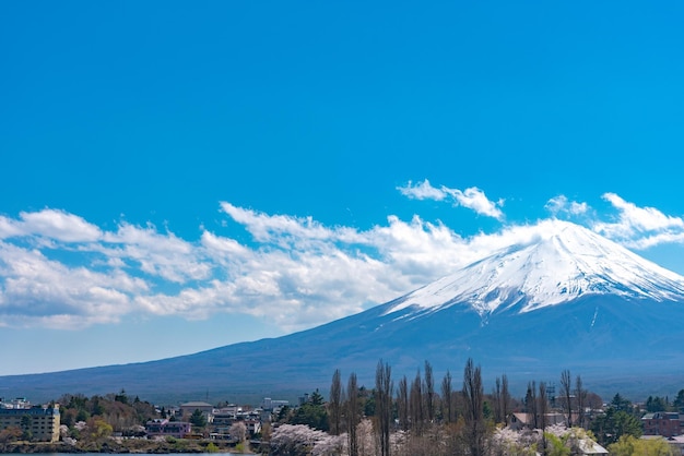 Mount Fuji Mt Fuji over blue sky on a sunny day Lake Kawaguchiko Town Fujikawaguchiko Yamanashi Pref