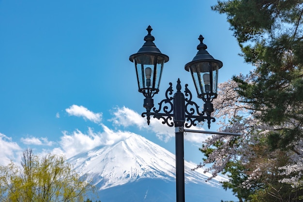 Mount Fuji Mt Fuji with blue sky background in pink cherry blossoms springtime Lake Kawaguchiko