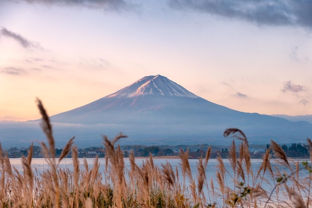 Mount Fujisan with golden meadow in Kawaguchiko Lake at sunrise