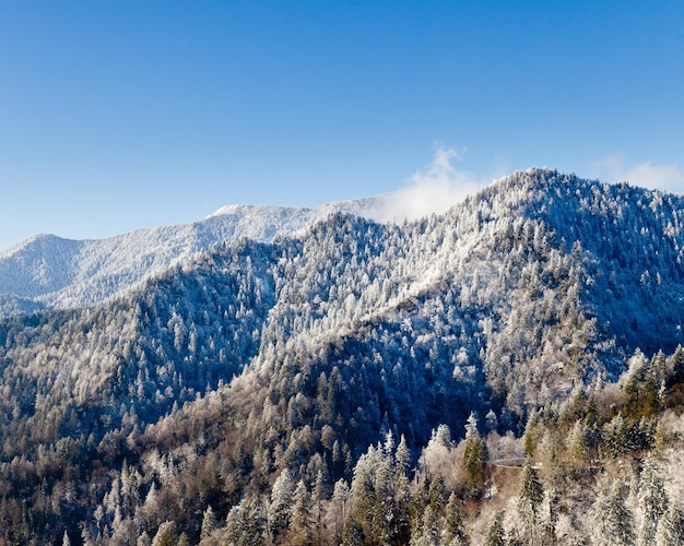 Mount leconte in snow in smokies