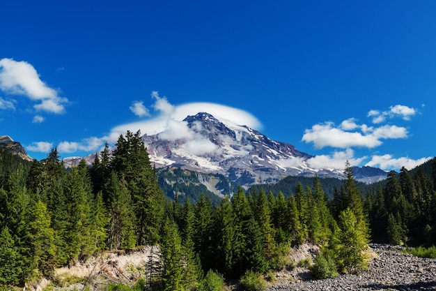 Mount Rainier national park, Washington