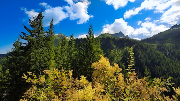 Mount Rainier