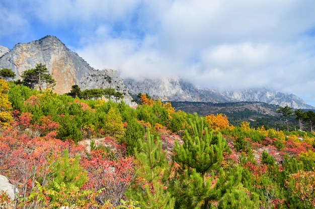 Mount Shaan-kaya, the city of Alupka, Crimea. A very beautiful autumn landscape