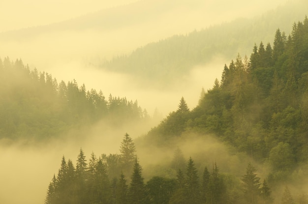 Mountain aerial morning landscape