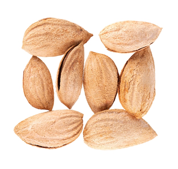 Mountain almonds isolated on white background Uzbek wild almonds Clipping path Top view