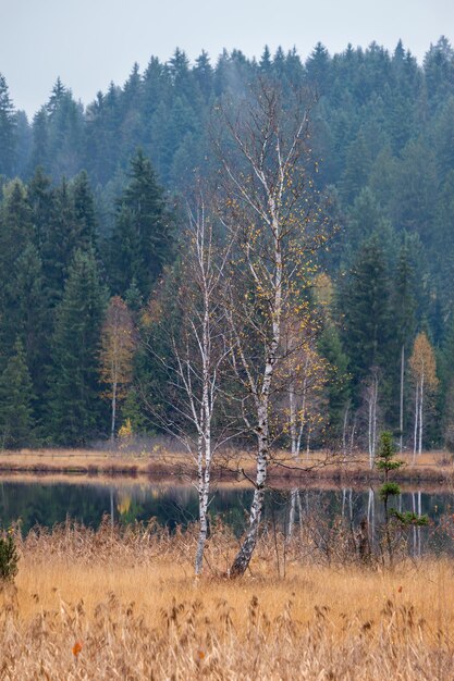 Mountain alpine autumn lake Schwarzsee Kitzbuhel Tirol Austria Alps