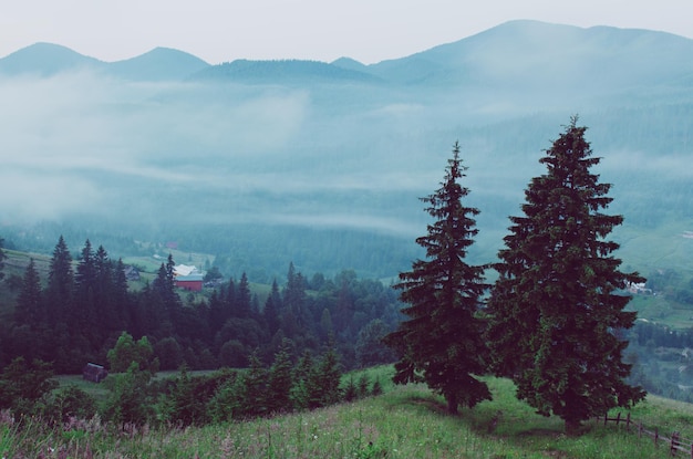 Mountain amazinf landscape