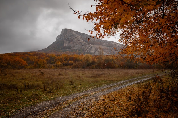 The mountain autumn landscape with colorful forest