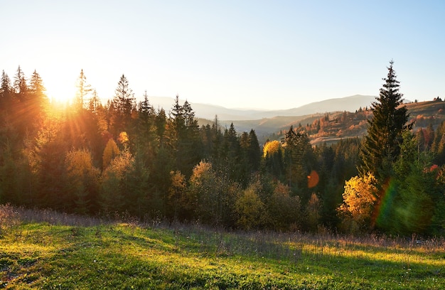 mountain autumn landscape with colorful forest.