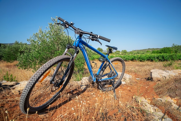 Mountain bike cycling on nature landscape.