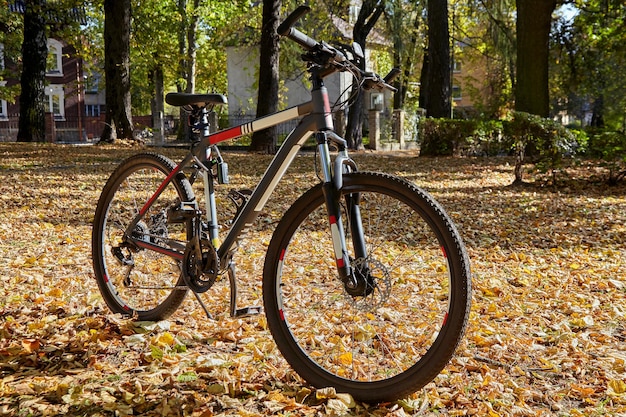 Mountain bike in excellent condition in autumn park