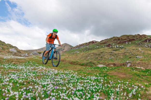 Mountain bikers in a spring meadow