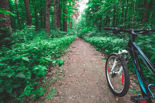 Mountain biking down hill descending fast on bicycle