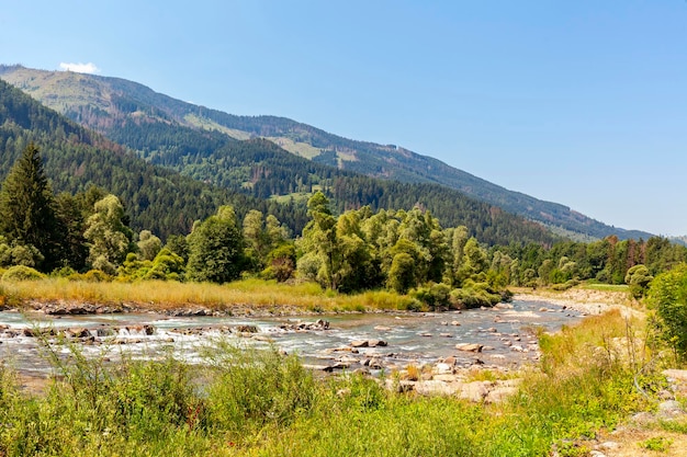 Mountain creek in a typical trentino valley