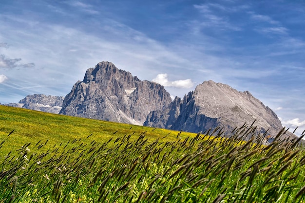 Photo a mountain in the distance with a green field of grass and flowers in front of it