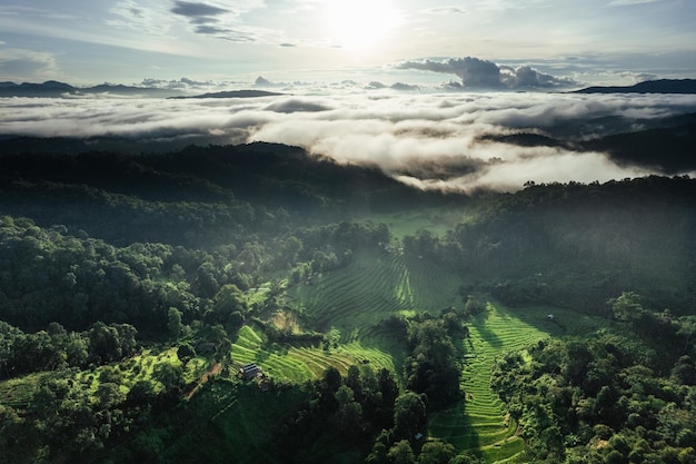 Mountain field early morning high angle view