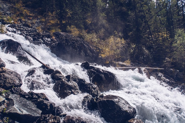 Mountain flowing stream and waterfall in the forest Picturesque landscape view Altai mountains Siberia Russia