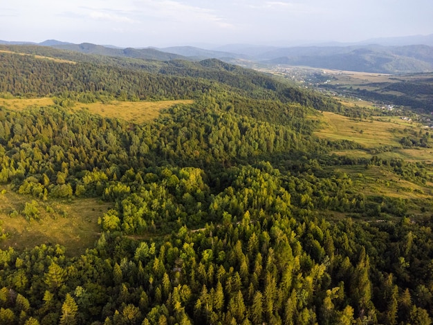 Mountain forest aerial landscape view