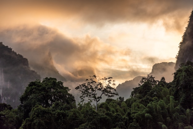 Mountain and forest with ray of lights on morning