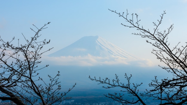 Mountain Fuji in winter framed by dry fall tree in blue tone colour in japan