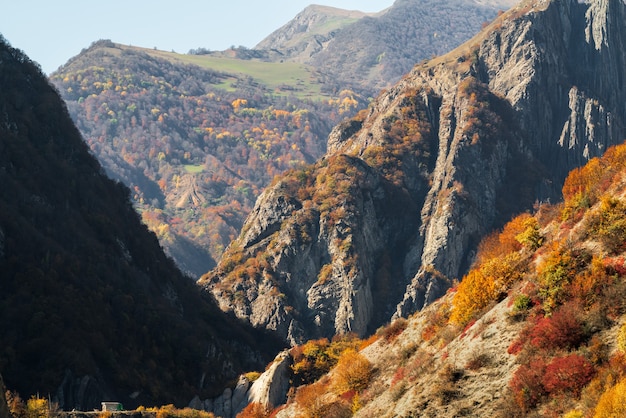 Mountain gorge in autumn time