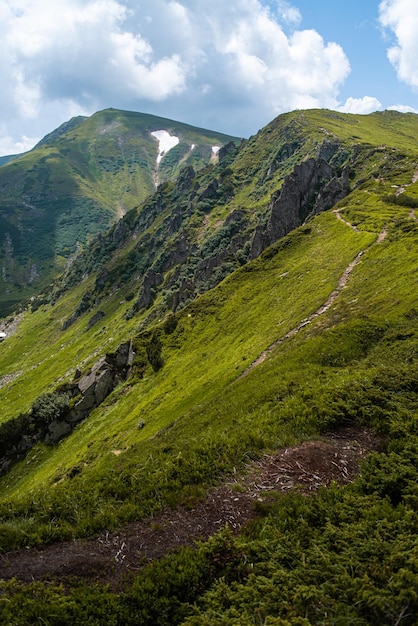 Mountain hiking. Beautiful mountain views. Coniferous forests and alpine meadows