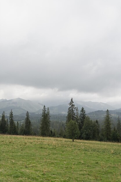 Mountain hill forest sky and clouds Scenic nature landscape