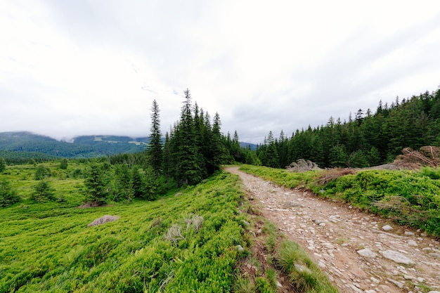 Mountain hill path road panoramic landscape