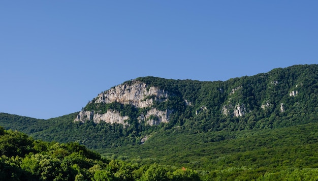 The mountain is covered with a green forest.