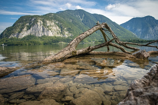 Mountain lake in Austrian Alps. beautiful view of the water surface and floating boats and kayaks